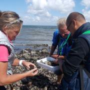 Oester Excursie 